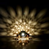 ココナッツライト・椰子の木のランプ・テーブルランプ | ランプ