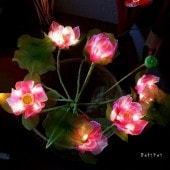 ϡΥ饤ȡΥסƥꥢ饤ȡϡβ֤Υƥꥢסڥԥ󥯡