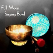 �ե�ࡼ�󥷥󥮥󥰥ܡ���ڦ�21.5cm�ۡ�D#�ۥ��󥿡���ȥʡ����㥭����˼��������Ǽ�����������ƥ��å����ޥ�åȡ���󥰥��å�����դ�