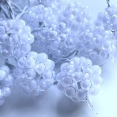 饤ȡڥۥ磻ȡۡǥ졼饤ȡܾƥꥢ饤ȡڲѡ󥻥Ȼѡ