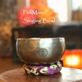 �ե�ࡼ��ܥ��� ���󥮥󥰥ܥ��롦���֥�᥿�롿���㥭����˼�����ݾڽ�Ĥ��ۡڦ�14cm�ۡ�F��