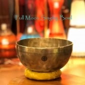 �ե�ࡼ��ܥ��롦���֥�᥿�롿1����Ρ��ڦ�19cm��H9cm�ۡ�F#�ۡ��ݾڽ�Ĥ��ۥ��㥭����˼