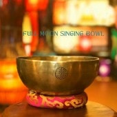 �ե�ࡼ��ܥ��롦7�᥿�롡�ڦ�20cm��H9cm�ۡ�F#�ۡ��ݾڽ�Ĥ��ۥ��㥭����˼