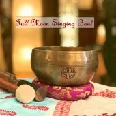 �ե�ࡼ��ܥ��롦���֥�᥿�롿���ڦ�13.5cm��H8cm�ۡ�F�ۡ��ݾڽ�Ĥ��ۥ��㥭����˼