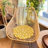 �ե���ȤΥ����ȥ��å���󡿥ե���ȥܡ���ڥ��������ߥå�����