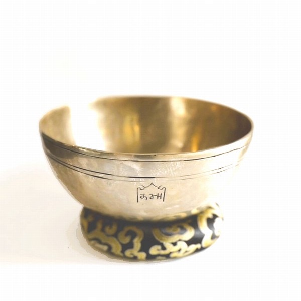 �˥塼�ࡼ�󥷥󥮥󥰥ܥ��롿7�᥿��ڦ�23.5cm�ۡ�B�ۥ��󥿡���ȥʡ����㥭����˼