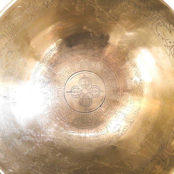 �˥塼�ࡼ�󥷥󥮥󥰥ܥ��롿7�᥿��ڦ�23.5cm�ۡ�B�ۥ��󥿡���ȥʡ����㥭����˼