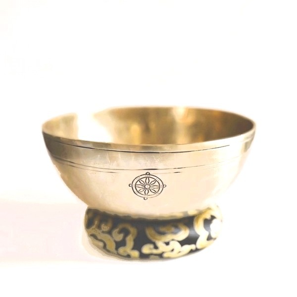 �˥塼�ࡼ�󥷥󥮥󥰥ܥ��롿7�᥿��ڦ�23.5cm�ۡ�B�ۥ��󥿡���ȥʡ����㥭����˼