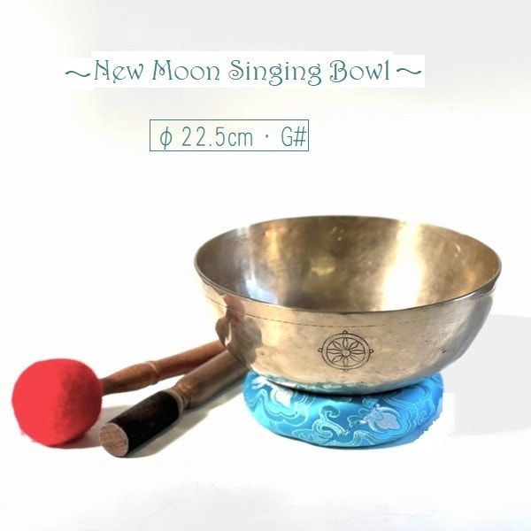 �˥塼�ࡼ�󥷥󥮥󥰥ܥ��롿7�᥿��ڦ�22.5cm�ۡ�G#�ۥ��󥿡���ȥʡ����㥭����˼