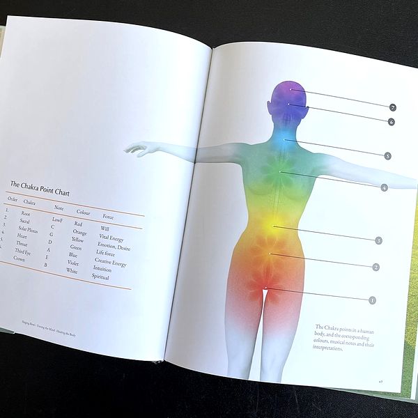 ܡHIMALAYAN SINGING BOWLTuning the Mind-Healing the BodyۡڱѸǡۥҥޥ 󥮥󥰥ܡ롿Υ塼˥󥰡Τ 󥿡ȥʡ㥭ڥ쥿ѥå1ΤOK