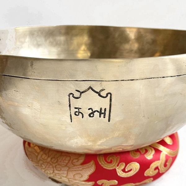 ˥塼ࡼ󥷥󥮥󥰥ܥ롿7᥿ڦ26cmۡF 󥿡ȥʡ㥭˼