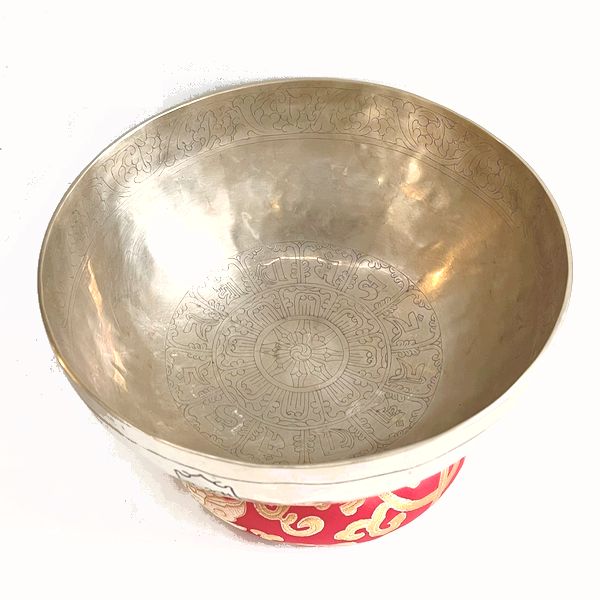 ˥塼ࡼ󥷥󥮥󥰥ܥ롿7᥿ڦ26cmۡF 󥿡ȥʡ㥭˼