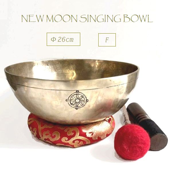 ˥塼ࡼ󥷥󥮥󥰥ܥ롿7᥿ڦ26cmۡF 󥿡ȥʡ㥭˼