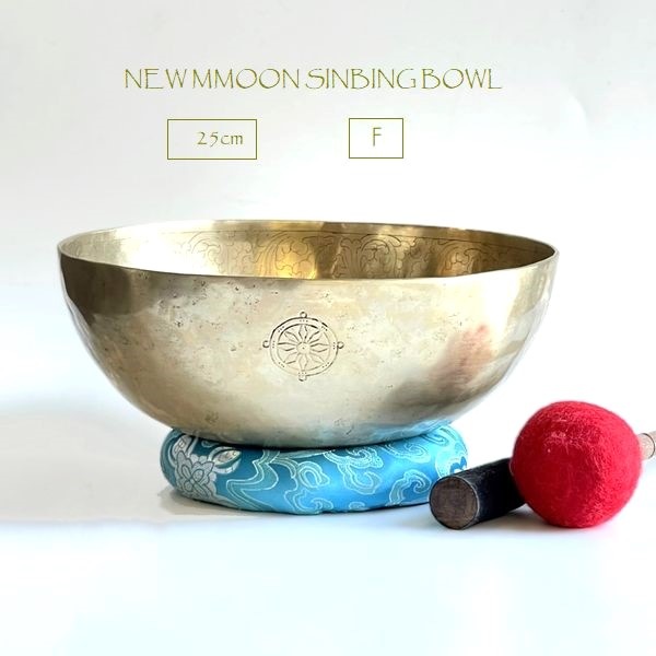 ˥塼ࡼ󥷥󥮥󥰥ܥ롿7᥿ڦ25cmۡF 󥿡ȥʡ㥭˼