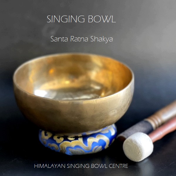 󥮥󥰥ܥ롿Ǥ󥮥󥰥ܡ 20cmڣ᥿ۡFۡF#ۡ