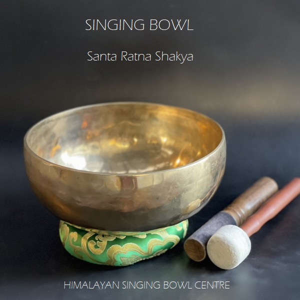 󥮥󥰥ܥ롿Ǥ󥮥󥰥ܡ 22cmڣ᥿ۡCۡC#ۡD#