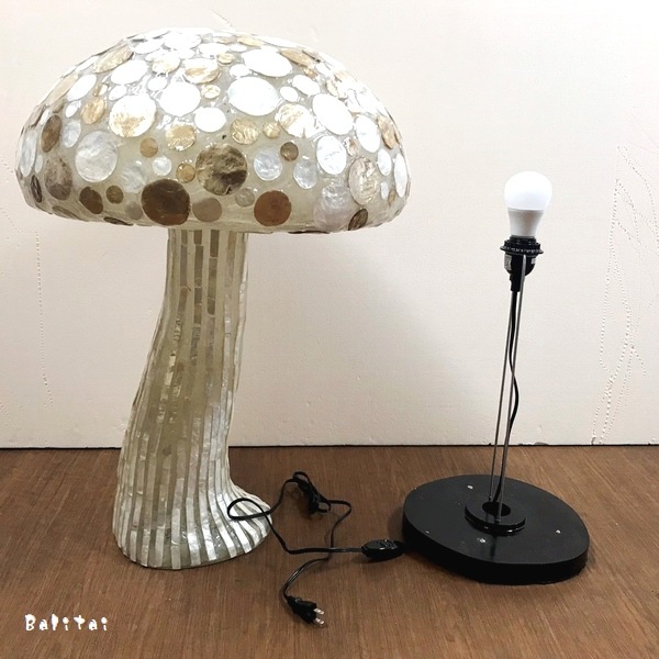 ���Υ��Υ饤�ȡ�������Υơ��֥���סڹ⤵70cm�ۥ��Υ��δ��ܾ���������ƥꥢ�饤��>�ۡ���ǥ�