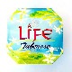 ᡡ塼֥LIFE/TUBEROSE 塼֥塼٥ڷ۱