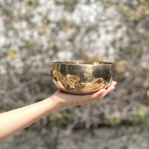 ���󥮥󥰥ܥ��롿���Ǥ�����15.5cm��D#�ۡڣ��᥿���