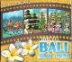 RETURN TO BALI JALAN-JALAN饯CDХCDڥ쥿ѥå饤OK