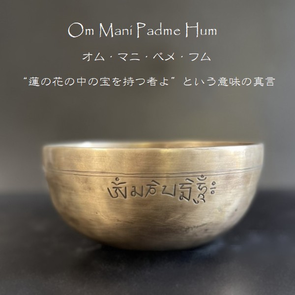 ���󥮥󥰥ܥ��롿�ե�ࡼ��ܥ��롦���֥�᥿�롡�ڦ�19cm��H9cm�ۡ�G�ۡھ�����Ĥ��ۥ��󥿡���ȥʡ����㥭����˼