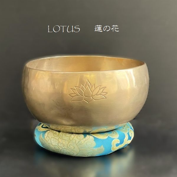 襬ܥ롡֥᥿롿󥮥󥰥ܥڦ16.5cmۡGۡھĤۥ㥭˼