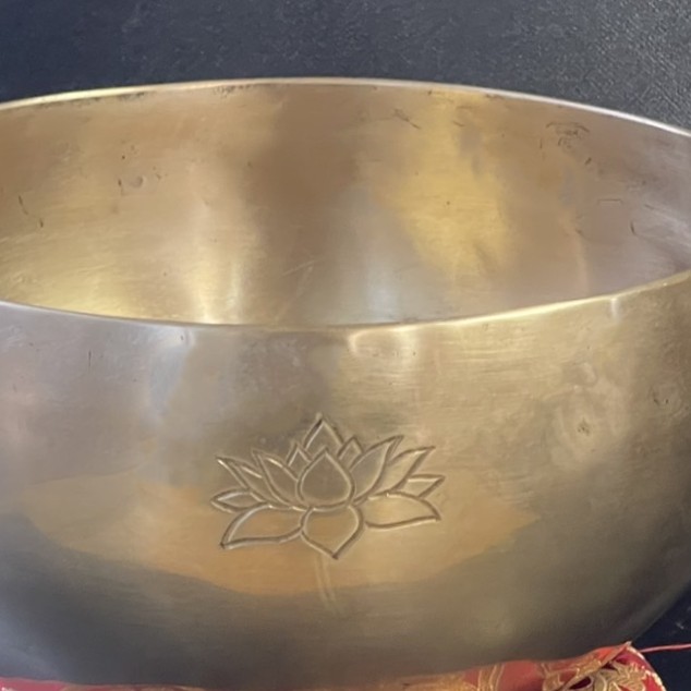 襬ܥ롡֥᥿롿󥮥󥰥ܥڦ16.5cmۡGۡھĤۥ㥭˼