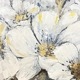�ݥԡ����ҥʥ��������衿Abstract Flower���֥󥬡ʲ֡ˡ������ȥѥͥ롿�֤���ݲ�