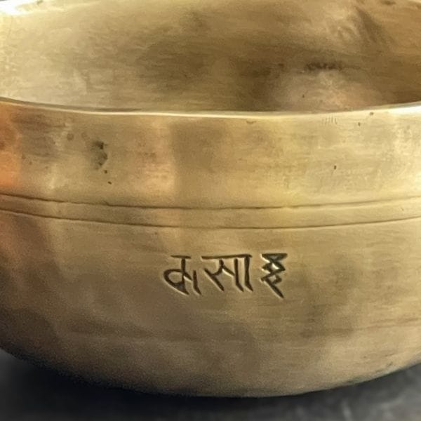 �ե�ࡼ��ܥ��롦���֥�᥿�롿���ڦ�12cm��H6cm�ۡ�B�ۡھ�����Ĥ��ۥ��㥭����˼