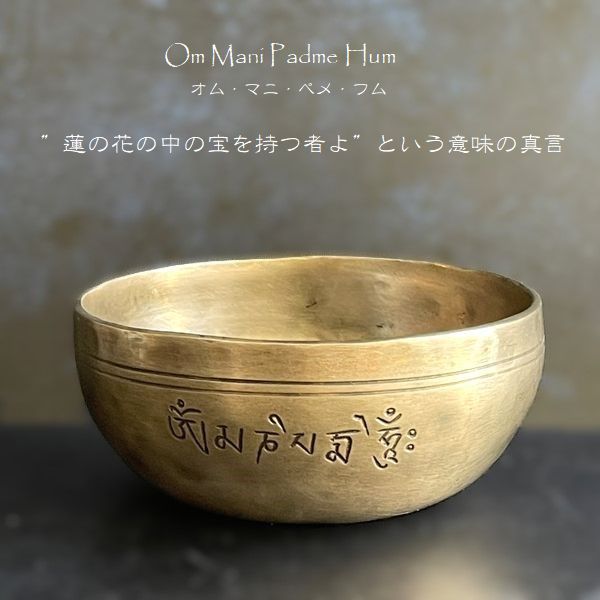 �ե�ࡼ��ܥ��롦���֥�᥿�롿���ڦ�12.5cm��H5.5cm�ۡ�A�ۡھ�����Ĥ��ۥ��㥭����˼