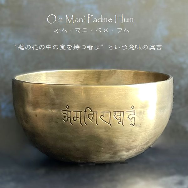 �ե�ࡼ��ܥ��롦���֥�᥿�롿���ڦ�13cm��H6.5cm�ۡ�G�ۡھ�����Ĥ��ۥ��㥭����˼