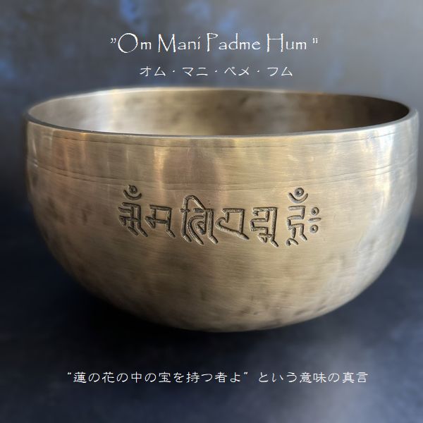 եࡼܥ롦֥᥿롿ڦ18cmH10cmۡFۡھĤۥ㥭˼