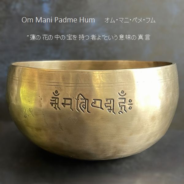 �ե�ࡼ��ܥ��롦���֥�᥿�롿���ڦ�18cm��H10cm�ۡ�F�ۡھ�����Ĥ��ۥ��㥭����˼