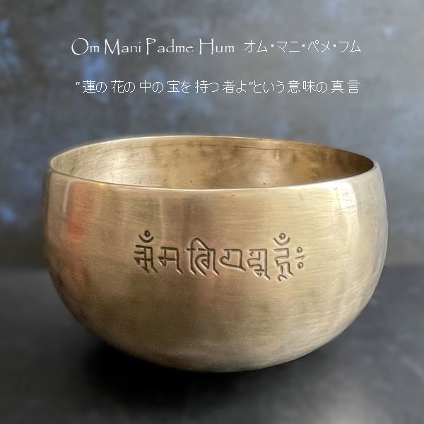 �ե�ࡼ��ܥ��롦���֥�᥿�롿���ڦ�18cm��H10cm�ۡ�E�ۡھ�����Ĥ��ۥ��㥭����˼