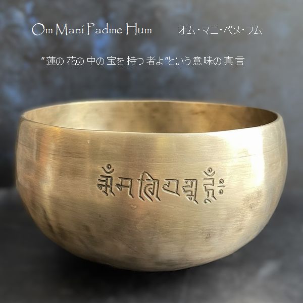 ���󥮥󥰥ܥ��롿�ե�ࡼ��ܥ��롦���֥�᥿�롿���ڦ�18cm��H10cm�ۡ�E�ۡھ�����Ĥ��ۥ��㥭����˼