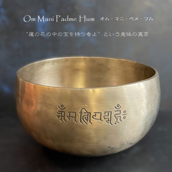 󥮥󥰥ܥ롿եࡼܥ롦֥᥿롿ڦ18cmH10cmۡAۡھĤۥ㥭˼