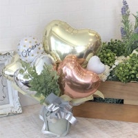 ŹˤХ롼󥮥եȡ֤Х롼󥢥󥸥ɥåOPEN