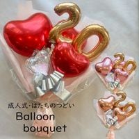 [20thԥ奢ϡ]ͼ󽽺ФνѤˤХ롼«