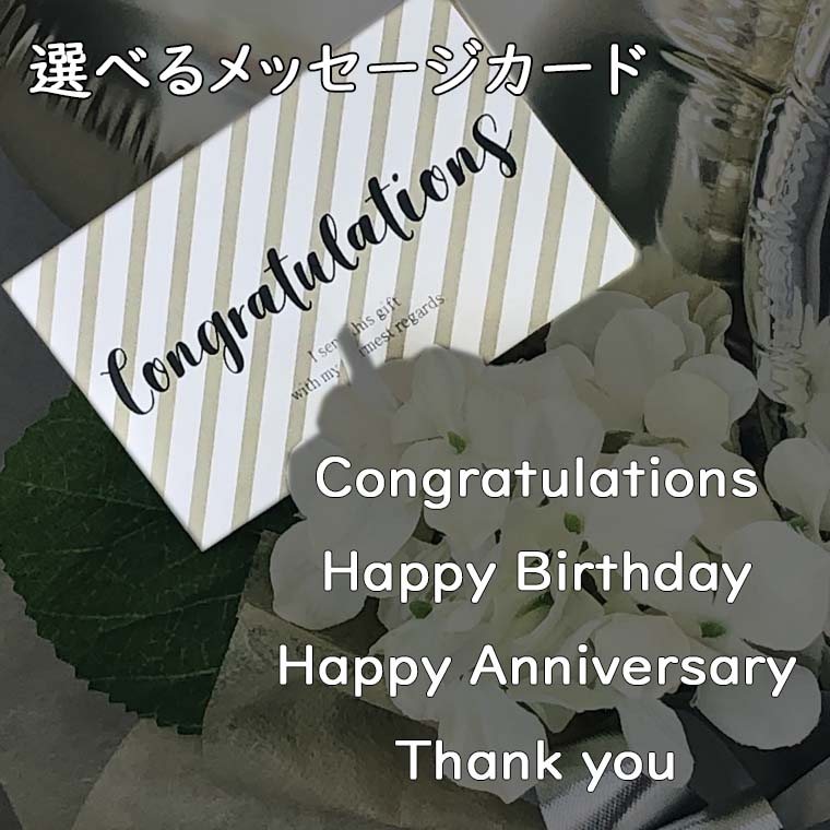 �������ʤɳƼ浪�ˤ��ˡ��������ʥ��顼�ǥץ쥼��Ȥ��䤹���֤����Х롼�󥮥եȡΥߥͥåȡ�