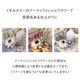 ��3���顼Ÿ���ۡ���ǰ���ʤɤγƼ浪�ˤ��ˡ�����夤�������ߥ��顼�ΥХ롼�󥮥եȢ����å��ե롼