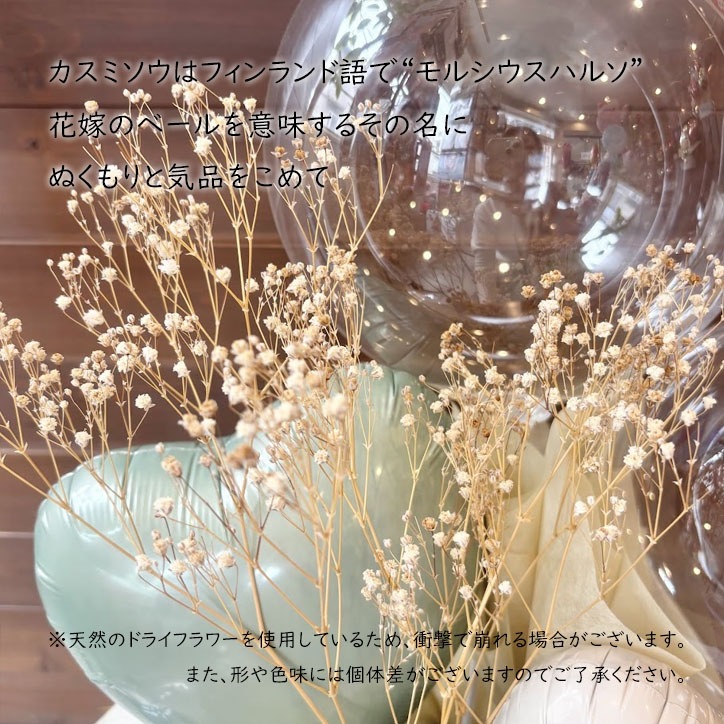Ź뺧ǯʤ̤ʤˤˡͥʥʥХ롼󥮥եȡڥ륷