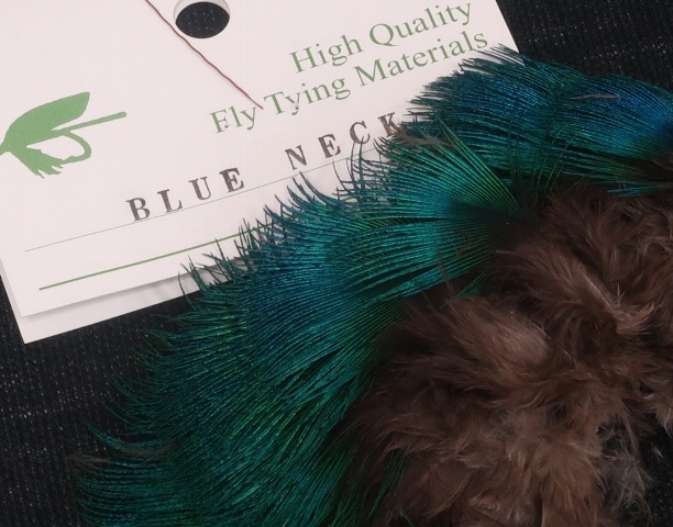 Peacock��BlueNeck