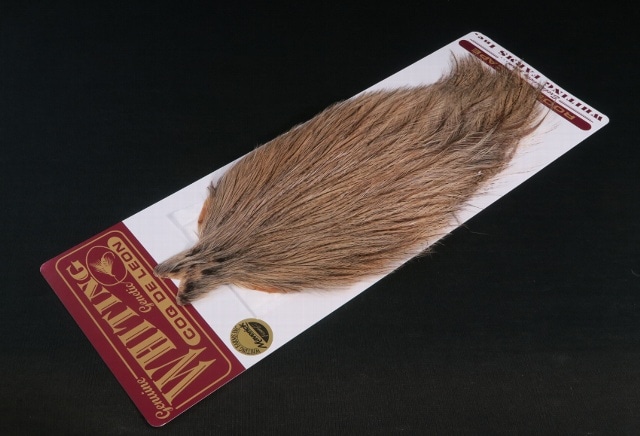 WHITINGCOQdeLEONROOSTERCAPELIGHTPARDO