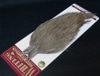 WHITINGCOQdeLEONROOSETERCapeMedPardoTypeA