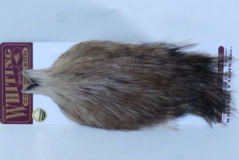 WHITING Coq de Leon SpeckledBadger Type G