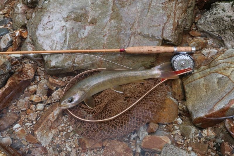 Tying���ƥ��꡼��ξ��ʡ����Ǥ˲����Ͽ���Ѥߤ���������10%off ���оݳ��⤢�ꡢ��ǧ���Ƥ���������