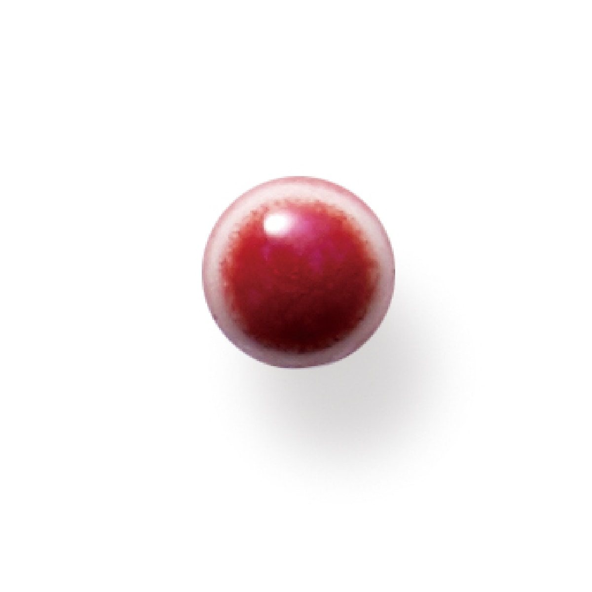 小丸(片耳のみ)