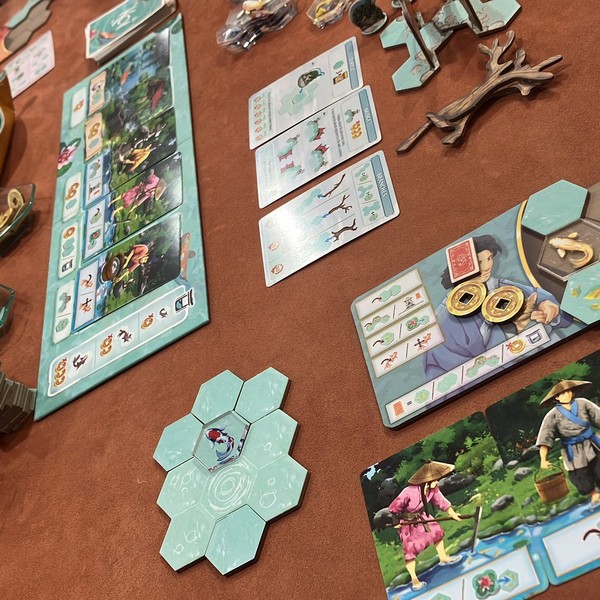 コイ（TGM25A:エリア33）、名古屋のボードゲームショップ、ゲーム