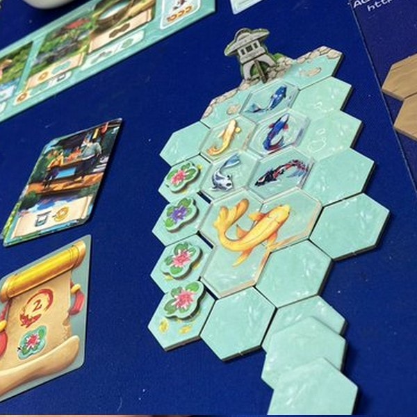 コイ（TGM25A:エリア33）、名古屋のボードゲームショップ、ゲーム