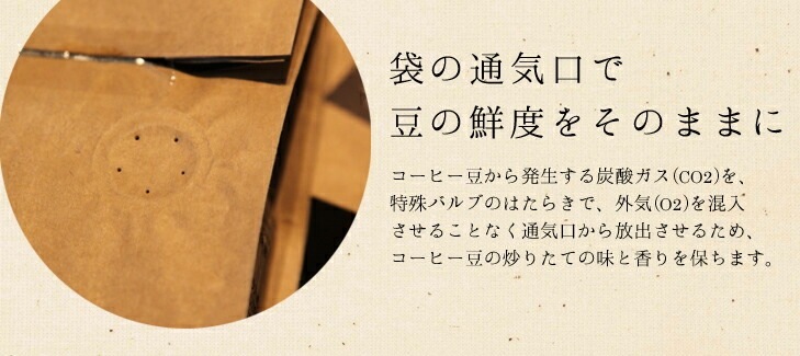 �����ҡ�Ʀ 09 ������󡦥⥫�ޥ��� 200g �ե��륿��10���դ���������¢